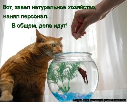 1 Марта-всесвітній день котів () 1 Марта-всесвітній день котів
