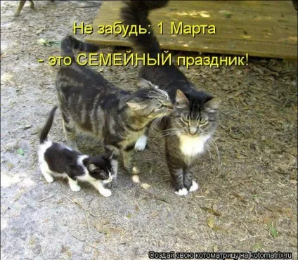 1 Марта-всесвітній день котів () 1 Марта-всесвітній день котів