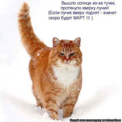 1 Марта-всесвітній день котів () 1 Марта-всесвітній день котів
