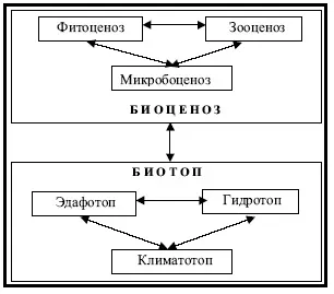 21 Екологічні системи
