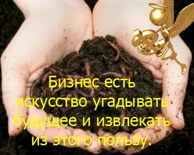6 Нових можливостей заробити на сезонному бізнесі, бізнес кейс (кейс) 6 Нових можливостей заробити на сезонному бізнесі, бізнес кейс