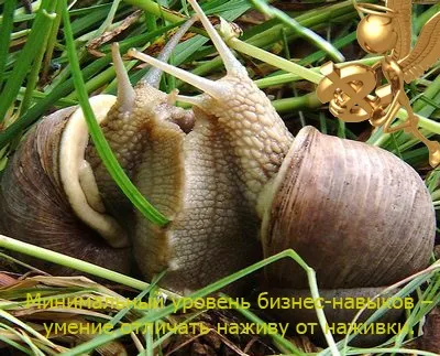 6 Нових можливостей заробити на сезонному бізнесі, бізнес кейс (бізнес) 6 Нових можливостей заробити на сезонному бізнесі, бізнес кейс