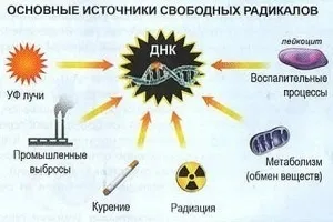 Антиоксиданти в продуктах харчування таблиця, список продуктів -антіоксідантов (таблиця) Антиоксиданти в продуктах харчування таблиця, список продуктів -антіоксідантов