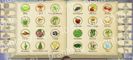 Алхімія на папері doodle alchemy відповіді на гру, рецепти, все елементи (алхімія рецепти) Алхімія на папері doodle alchemy відповіді на гру, рецепти, все елементи