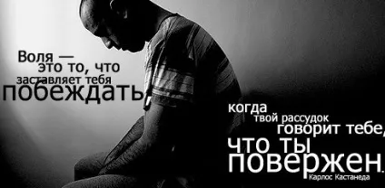 Афоризми в картинках «цитати