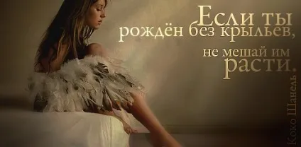 Афоризми в картинках «цитати