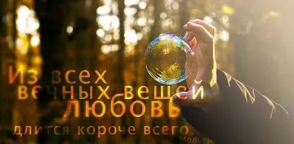 Афоризми в картинках «цитати