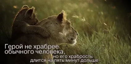 Афоризми в картинках «цитати