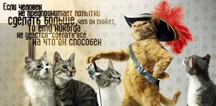 Афоризми в картинках «цитати