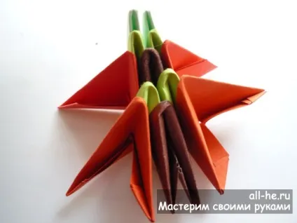 Метелик »модульне орігамі, all-he