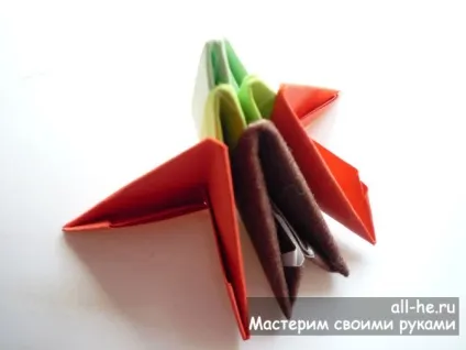 Метелик »модульне орігамі, all-he