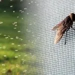 Білизняні мотузки на балкон як натягнути і повісити (натягнути) Білизняні мотузки на балкон як натягнути і повісити