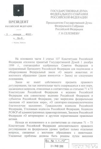 Бездомні тварини в современнойУкаіни проблема чекає свого рішення (тварини) Бездомні тварини в современнойУкаіни проблема чекає свого рішення