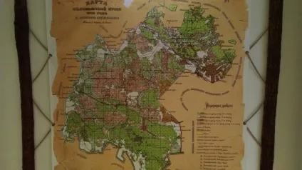 Біловезька пуща як дістатися, що подивитися, ціни (Біловезька) Біловезька пуща як дістатися, що подивитися, ціни