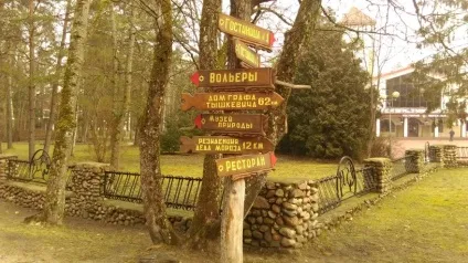 Біловезька пуща як дістатися, що подивитися, ціни (дістатися) Біловезька пуща як дістатися, що подивитися, ціни