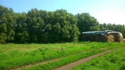 Благовіщенська 2017