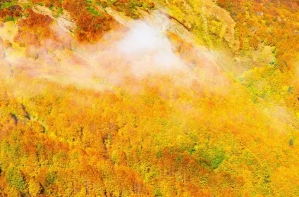 Буяння фарб або як виглядає осінь в різних куточках світу, умкра (різних) Буяння фарб або як виглядає осінь в різних куточках світу, умкра