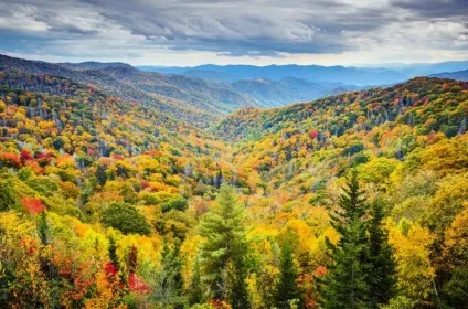 Буяння фарб або як виглядає осінь в різних куточках світу, умкра (куточках) Буяння фарб або як виглядає осінь в різних куточках світу, умкра