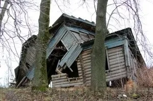 Чим і яким методом краще закрити тріщину в колоді, realconstruct