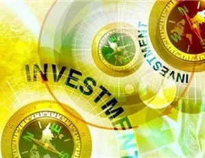 Приватні та державні інвестиції переваги, особливості, вибір (особливості) Приватні та державні інвестиції переваги, особливості, вибір