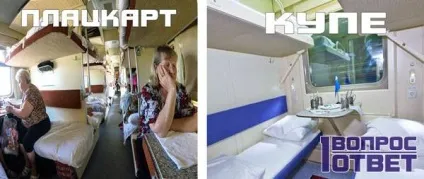 Чим відрізняється плацкарт від купе 5 відмінностей, фото, опис (відрізняється плацкарт купе) Чим відрізняється плацкарт від купе 5 відмінностей, фото, опис