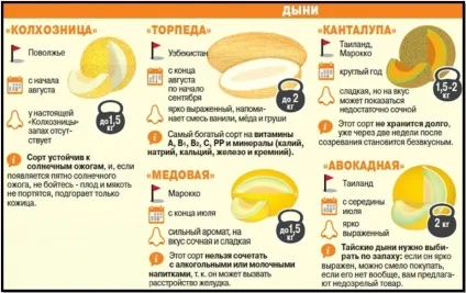 Чим корисна диня вся правда, азбука тіла