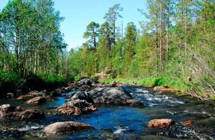Чим біогеоценоз відрізняється від екосистеми, в чому різниця (екосистеми) Чим біогеоценоз відрізняється від екосистеми, в чому різниця