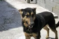 Що повинен знати судовий пристав (знати) Що повинен знати судовий пристав