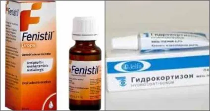 Що робити, якщо дитину покусали блохи рекомендації (блохи) Що робити, якщо дитину покусали блохи рекомендації