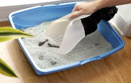 чистка лотка