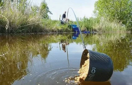 Що любить карась або на які смаки та запахи він краще реагує (які) Що любить карась або на які смаки та запахи він краще реагує