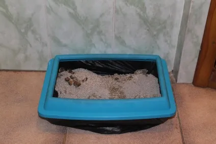 чистка лотка