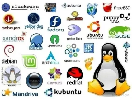 Що краще debian або linux mint, losst