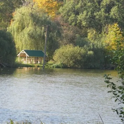 Що означає слово прости (відносини між людьми) Що означає слово прости