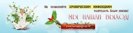 Що таке кандида