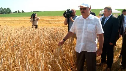 Що таке селектори, і навіщо вони потрібні (селектори) Що таке селектори, і навіщо вони потрібні