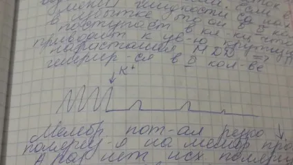Що таке протодиастолический період, чому він дорівнює