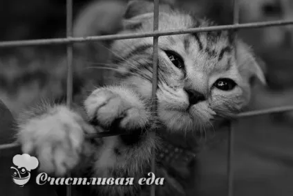 Що з'їсти коли сумно