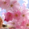 Що таке жива інформація