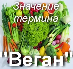 Що значить веган як зрозуміти слово веган переклад терміна веган