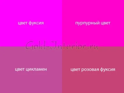 Колір фуксія - який він (колір) Колір фуксія - який він