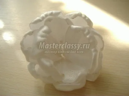 Квіти Дюшес своїми руками