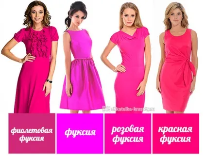 Колір фуксія - який він (колір) Колір фуксія - який він