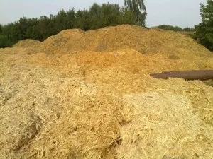 Гроші з тирси