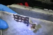 десульфатаціі акумулятора