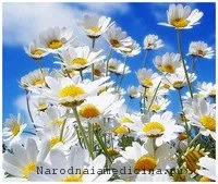 Діабетична полінейропатія (ДПН народними засобами) діабетична полінейропатія