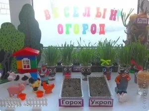 Дитячий сад, город на вікні, дачні справи (дитячий город вікні) Дитячий сад, город на вікні, дачні справи