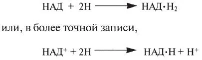 Дихальні субстрати клітини