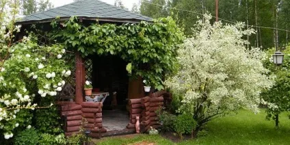 Дизайнерські ідеї, штучки і рішення для оформлення саду фото і опис (дизайнерські) Дизайнерські ідеї, штучки і рішення для оформлення саду фото і опис
