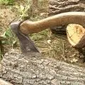 Дровница своїми руками для каміна і на дачі проекти, фото (руками) Дровница своїми руками для каміна і на дачі проекти, фото
